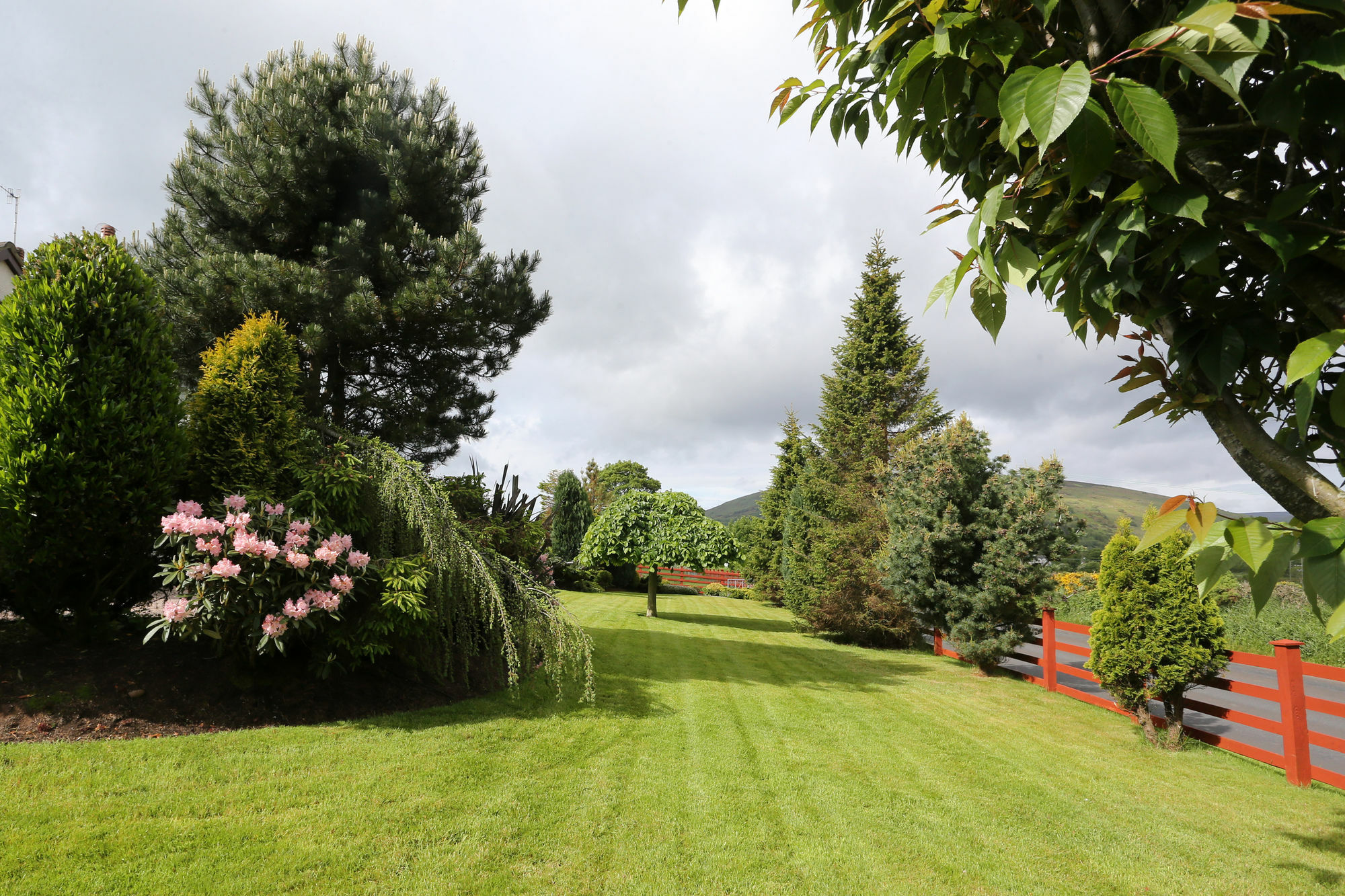 Sleepy Hollow B&B Ballymena Zewnętrze zdjęcie