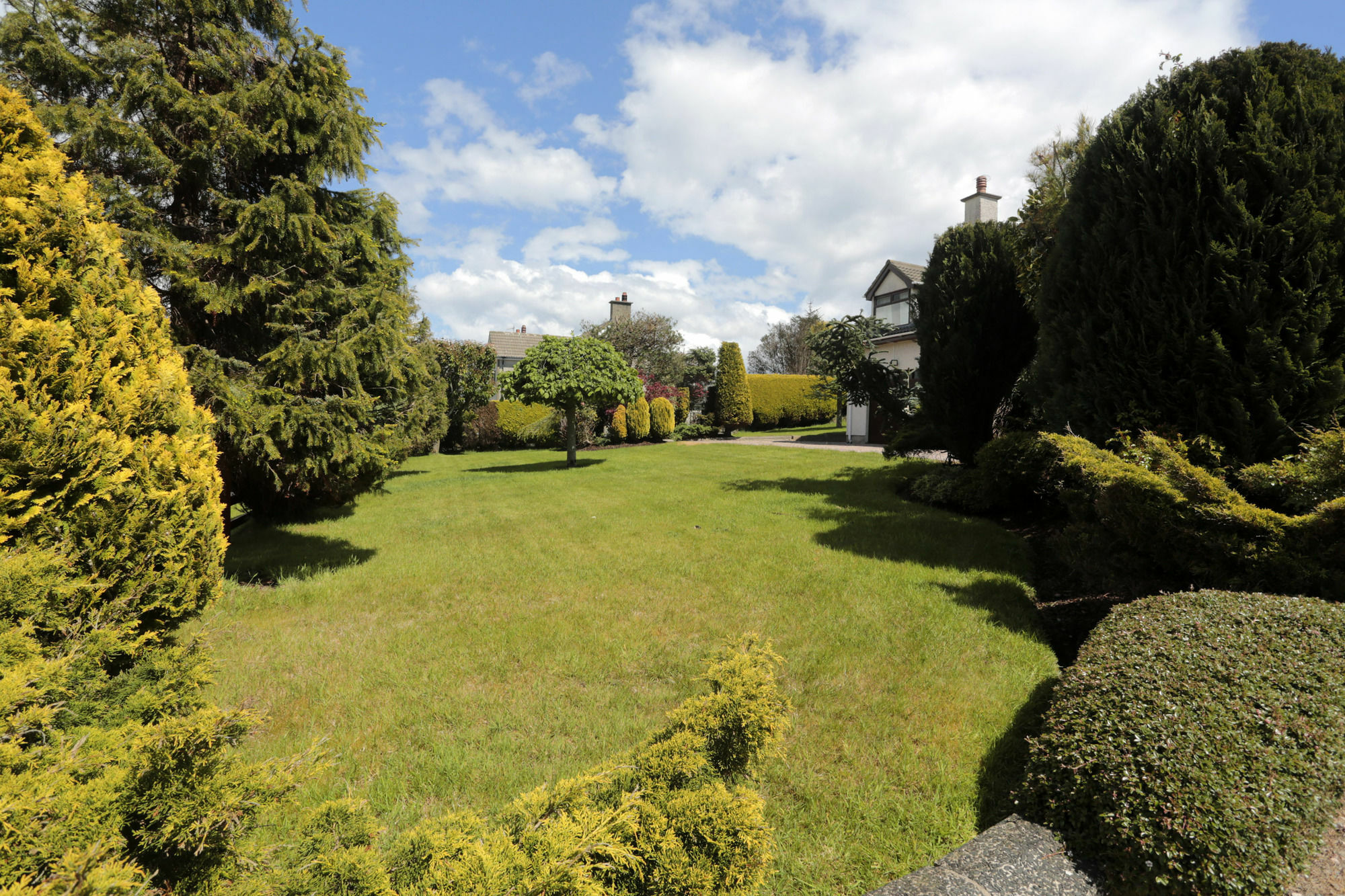 Sleepy Hollow B&B Ballymena Zewnętrze zdjęcie